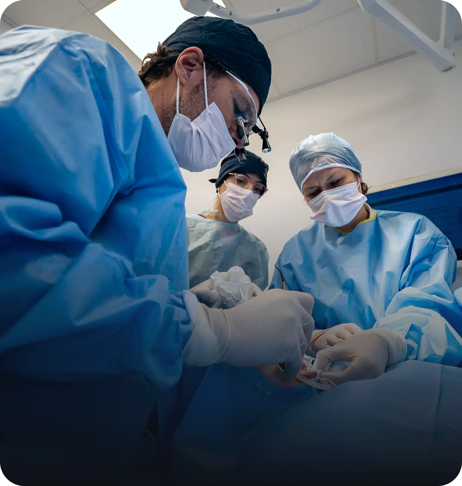 Periodontal Plastic Surgery Training Cycle